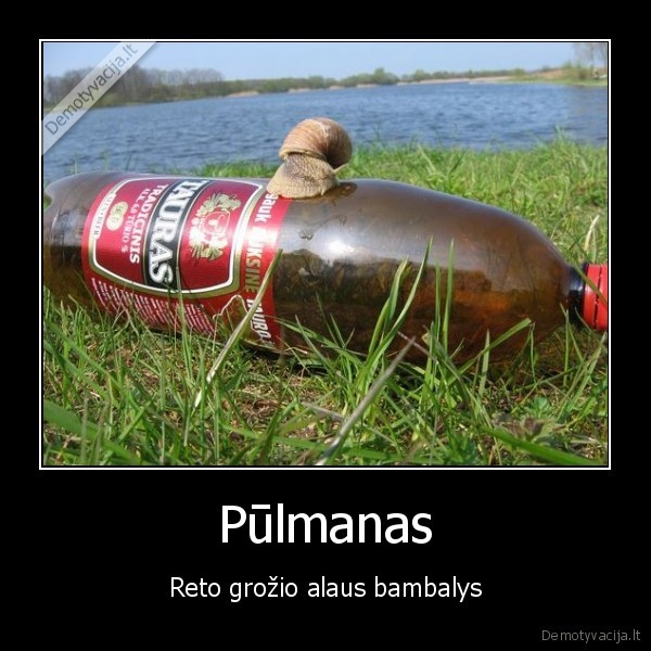 bambakas,alus,pulmanas,grozis,retas
