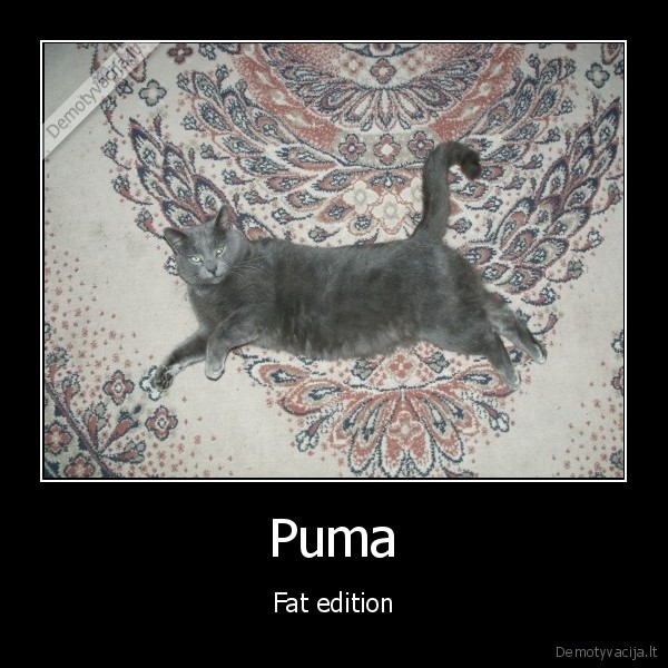 Puma