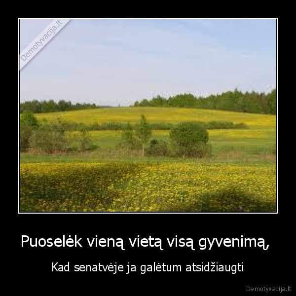 Puoselėk vieną vietą visą gyvenimą, 