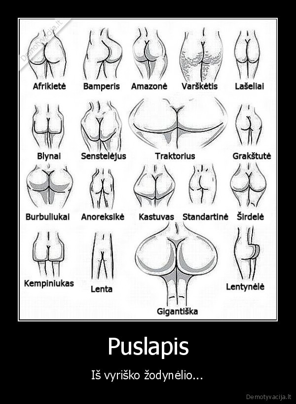 Puslapis