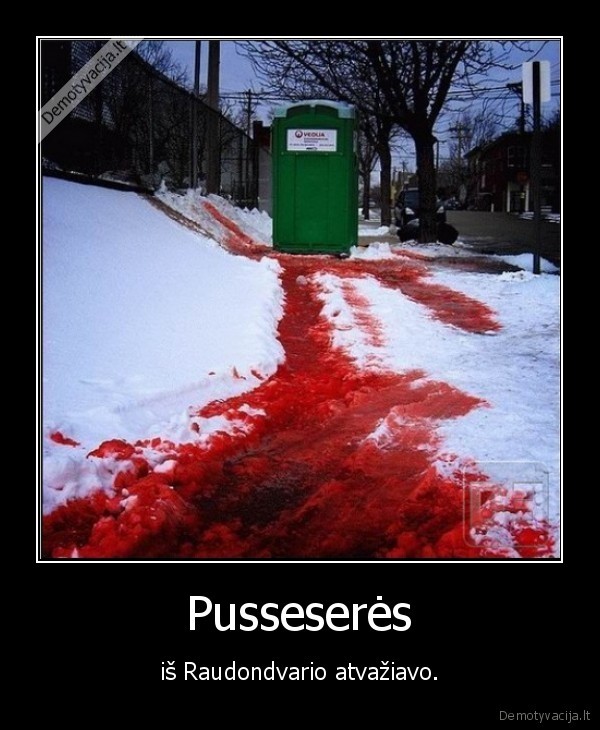 pusseseres,raudondvaris,menesines,sexo,nebus