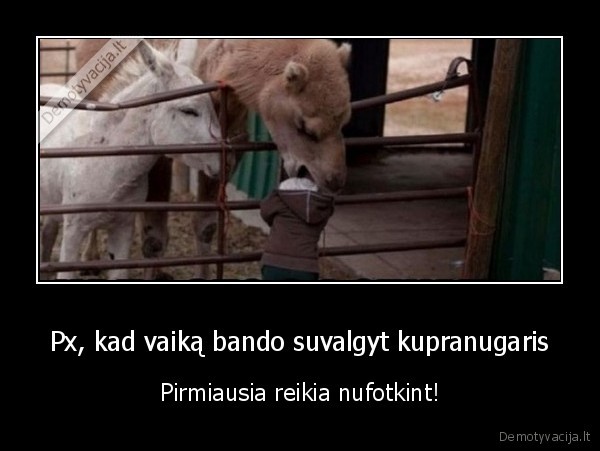 foto,kupranugaris,valgyti