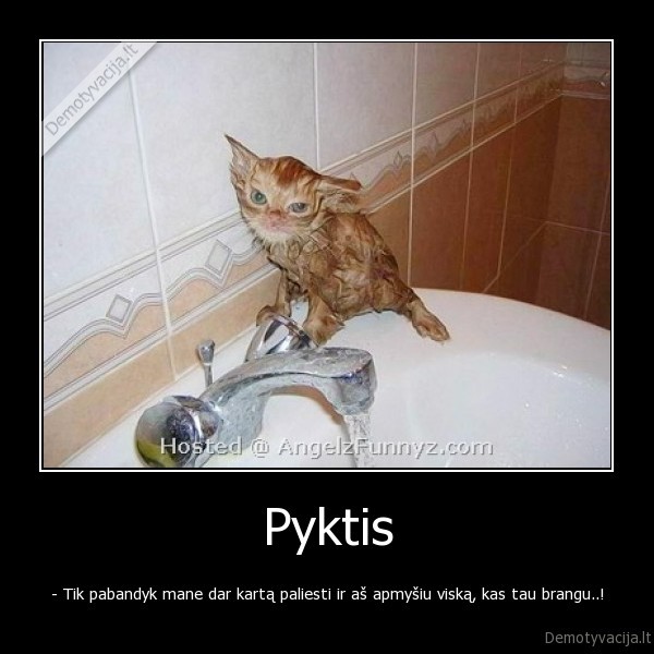 Pyktis