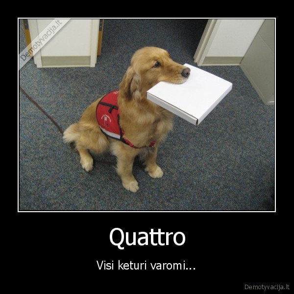 Quattro