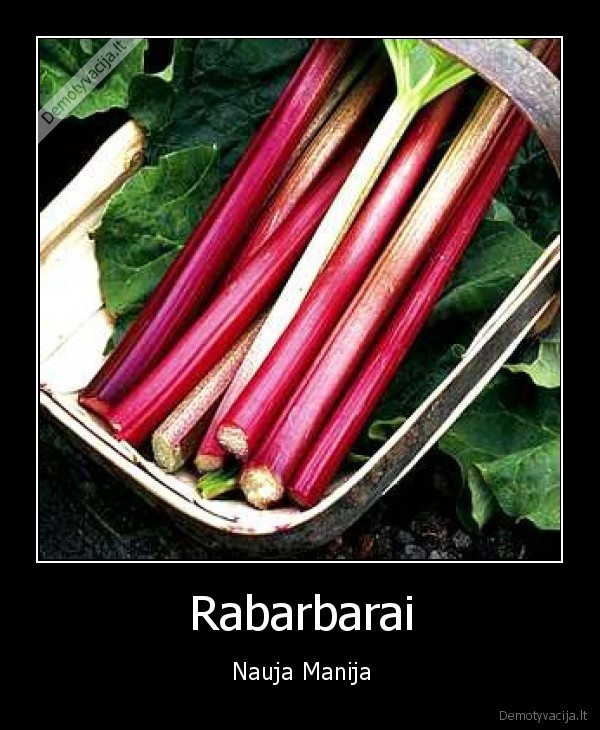 cukrinis, rabarbaras