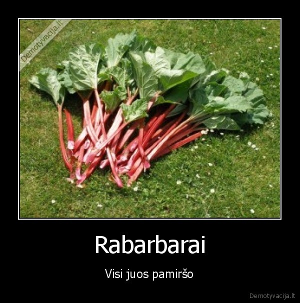 rabarbarai