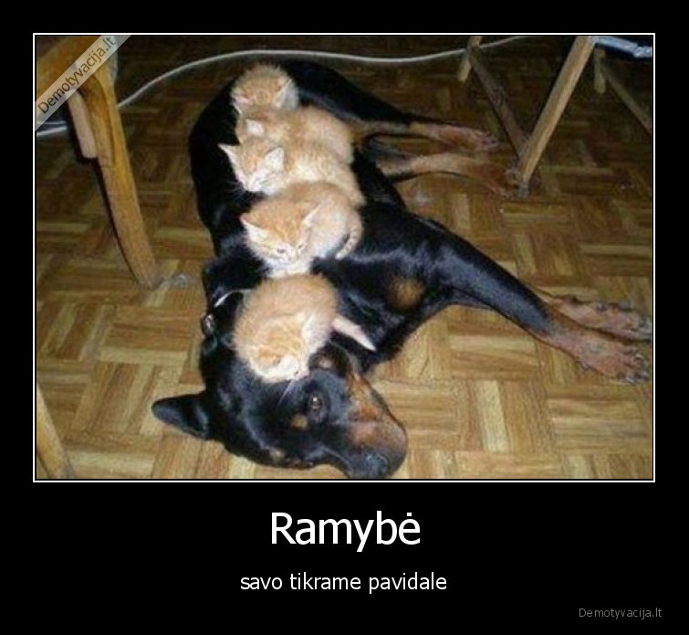 ramybe,kates,suo