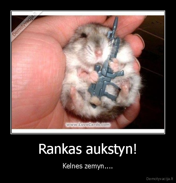 Rankas aukstyn!
