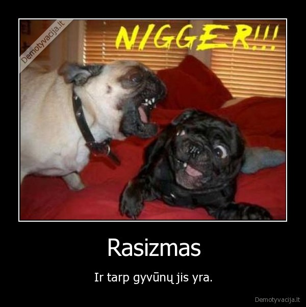 Rasizmas