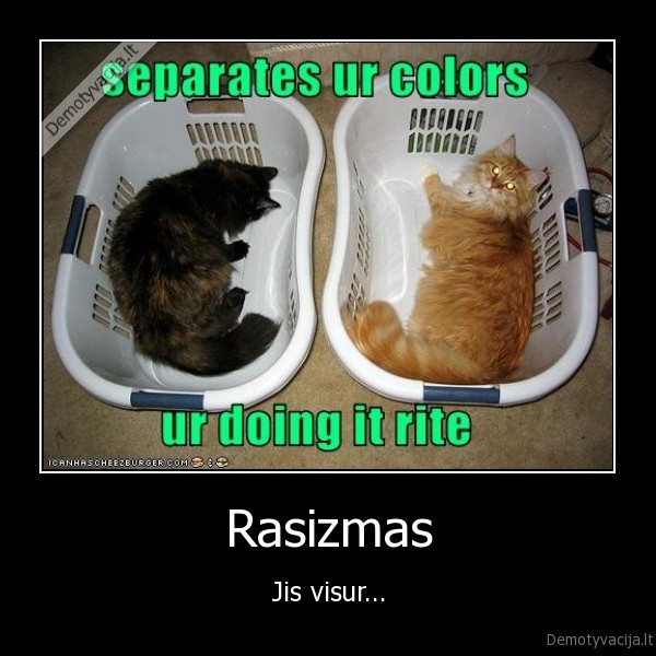 rasizmas,visur,juodas,baltas,katinas,kate,kates,kaciukai,dezes