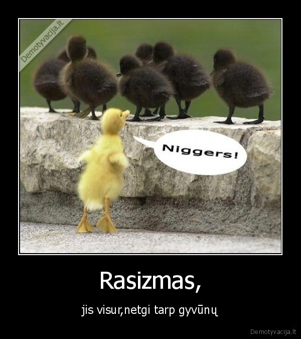 Rasizmas,