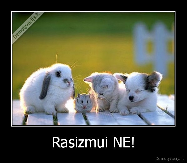 rasizmas,rasizmui, ne,gyvunai