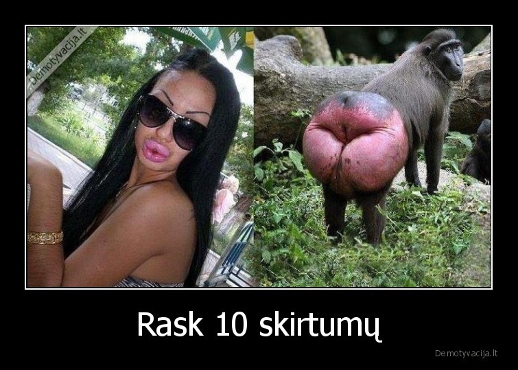 skirtumai,lupos,boteksas,uzpakalis,bezdzione
