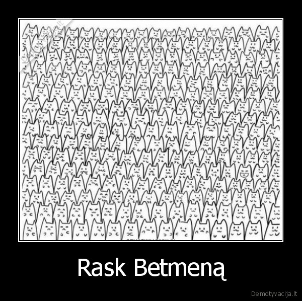 betmenas,kaciukai