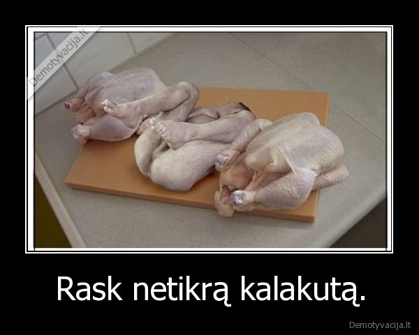 Rask netikrą kalakutą.