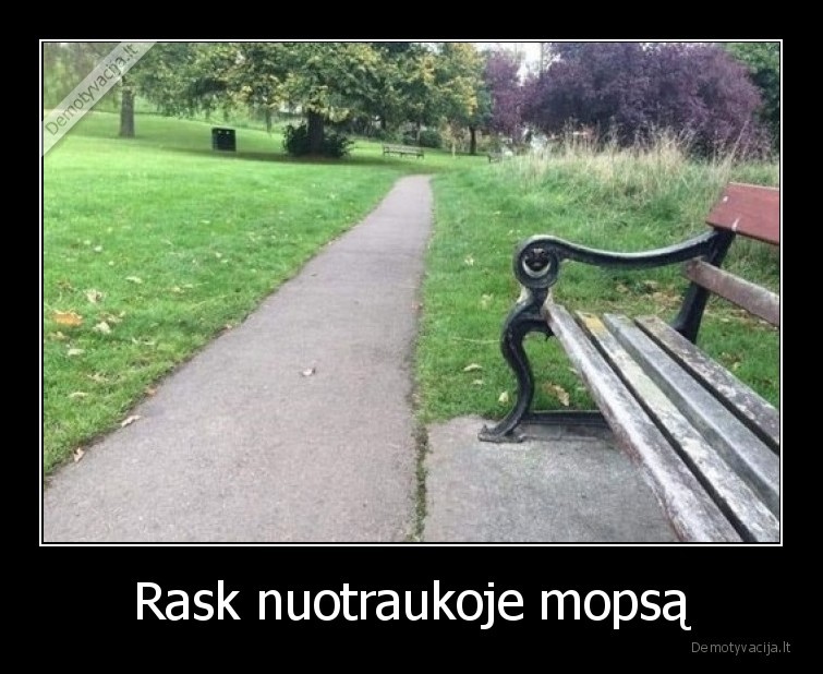 mopsas,suo,kur,suolas