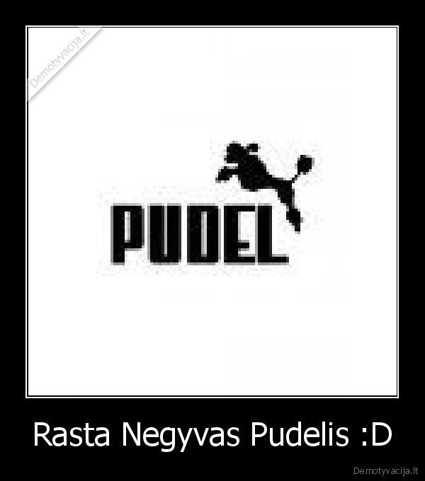 Rasta Negyvas Pudelis :D