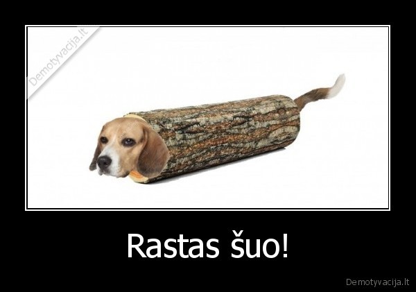 rastas,suo