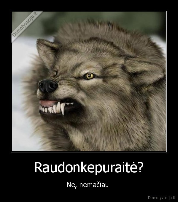 vilkas,kepure