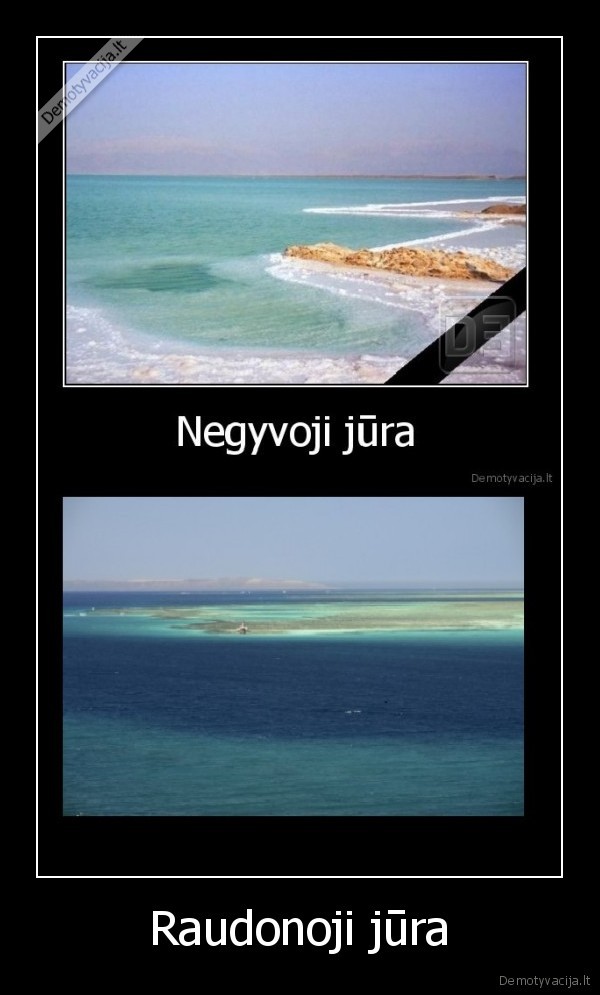 Raudonoji jūra