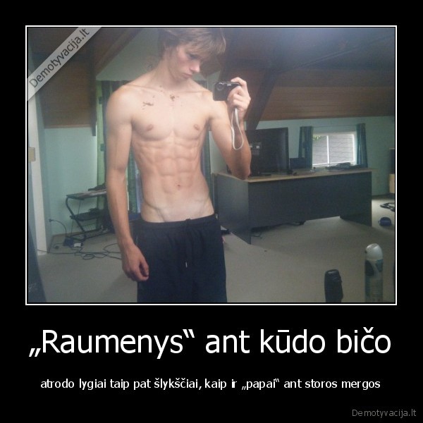 „Raumenys“ ant kūdo bičo