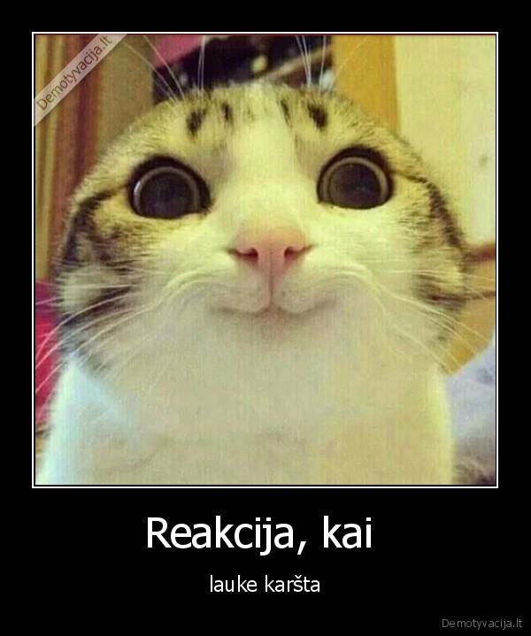 Reakcija, kai 