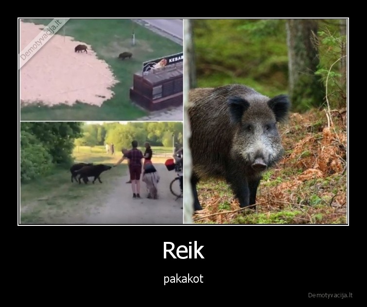 Reik
