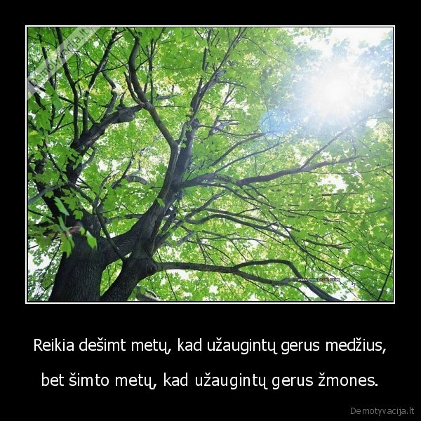 medziai, gyvenimas, auginimas