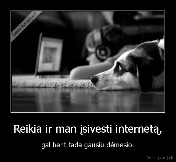 Reikia ir man įsivesti internetą,