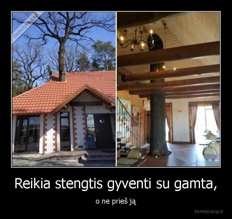 gamta,medis,namas