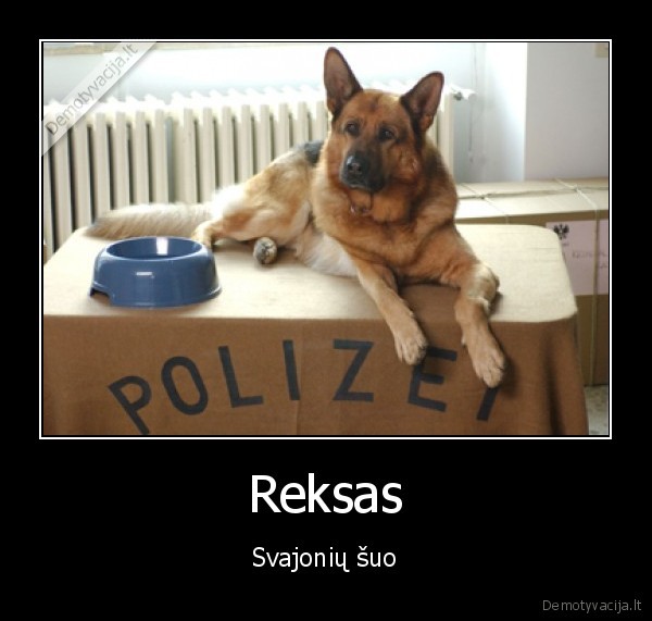 Reksas