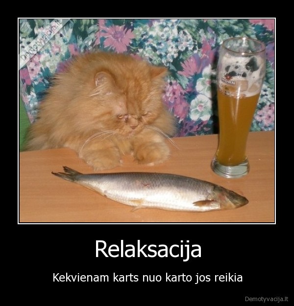 poilsis