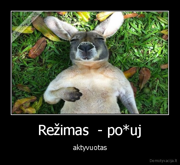 aktyvuotas,rezimas