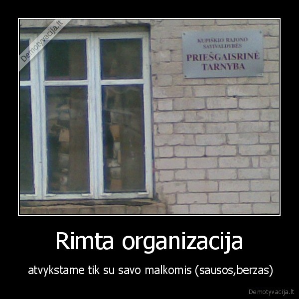 Rimta organizacija
