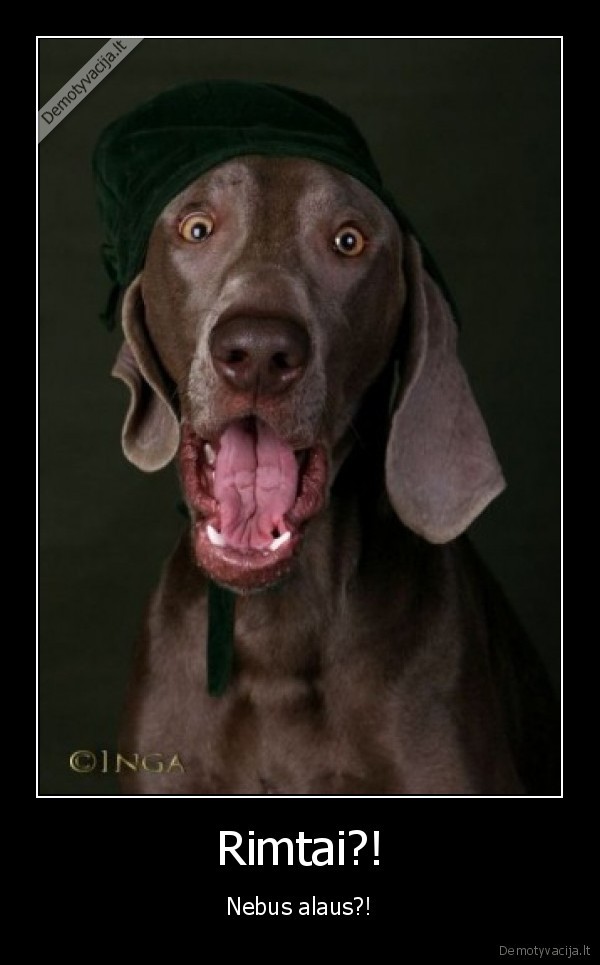 suo,alus,nebus, alaus