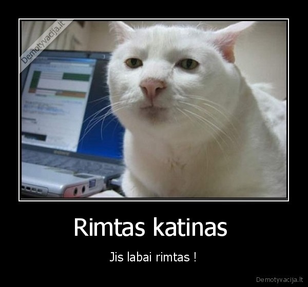 kubilius, siauteja
