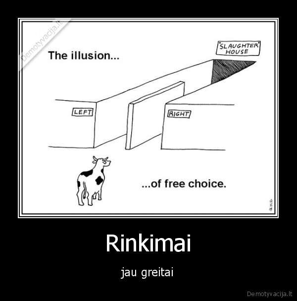 rinkimai,pasirinkimas