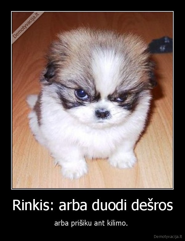 daviau., visvien, prisiko