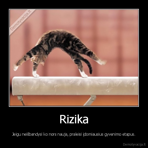 rizika
