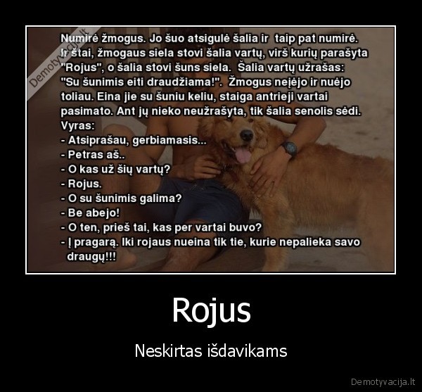 auksiniai, zodziai,grazi, mintis,rojus,draugyste,sielos, draugai,suo