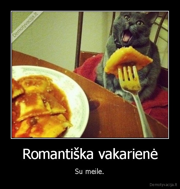 katinas,vakariene,forever, alone