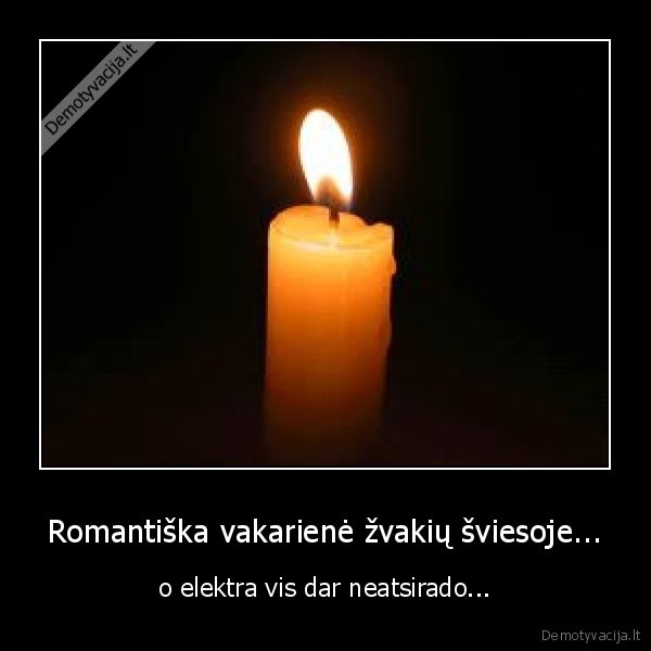 zvakes,funny,elektra,grazu,zvake,naujausi