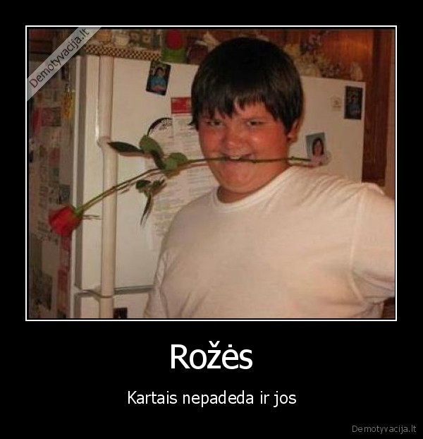 Rožės