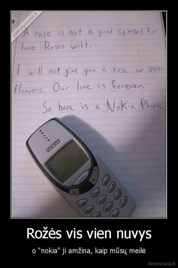 meile,nokia,rozes