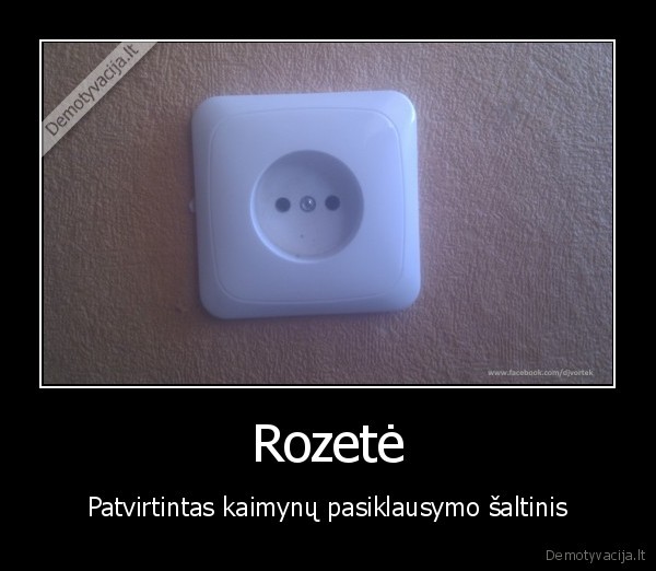 rozete,klausytis,2011