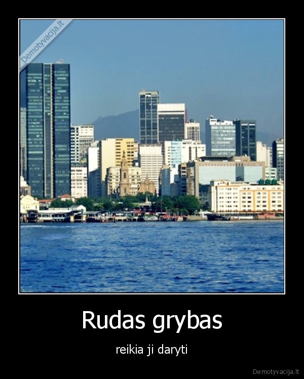 Rudas grybas