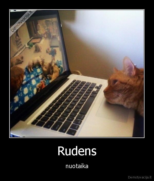 Rudens