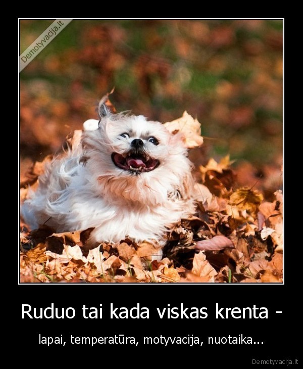 ruduo