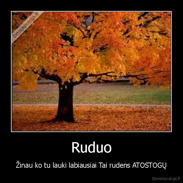 rudenelis