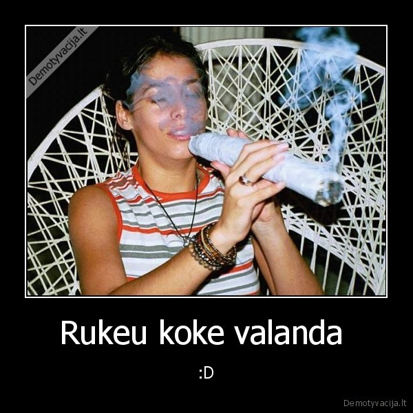 kasiakas,zuikas,dumas,tortas,bebras,einam, paciaudet,duok, lavandosu, ant, jamaikoso